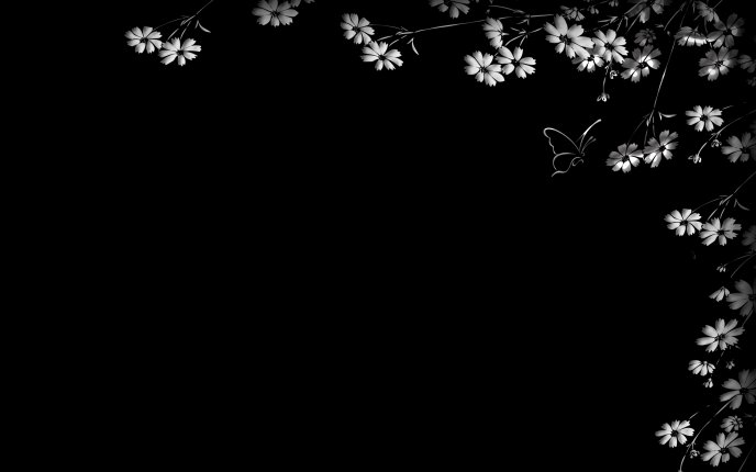Black desktop with beautiful white flowers