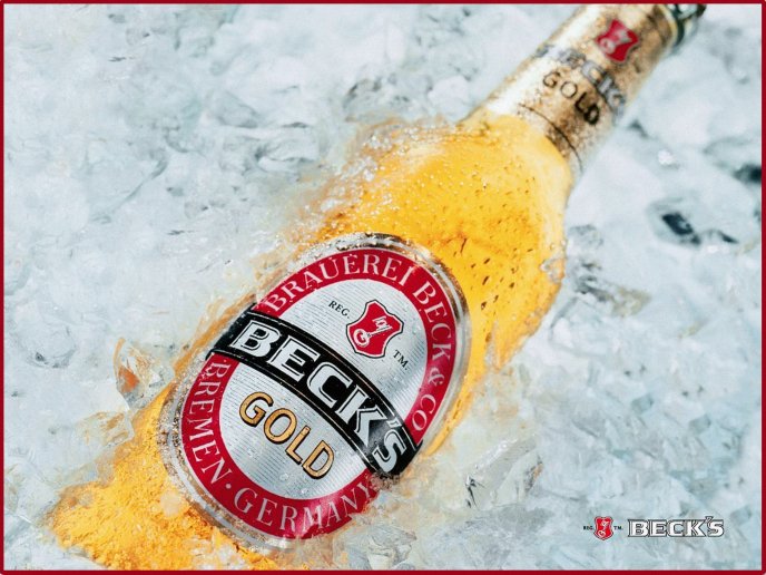 A bottle of beer in ice - Beck's gold