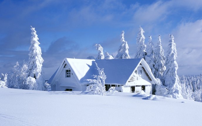 Snowy white house - snow is everywhere HD wallpaper
