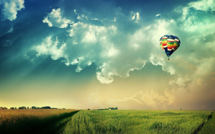 Colored hot air balloon over the green field