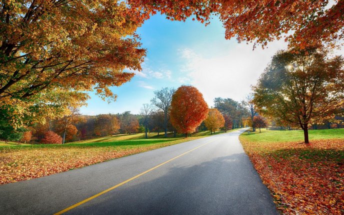 Road in nature - beautiful autumn landscape