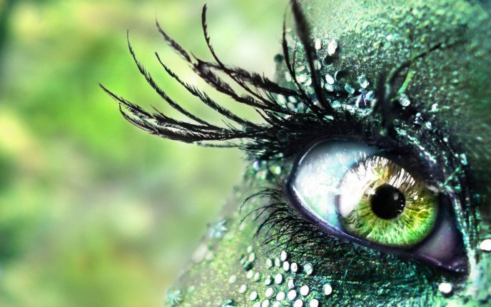 Beautiful art make-up - fantastic green eye