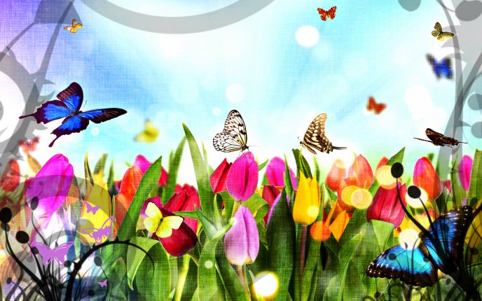 Beautiful butterflies in the flower garden - HD wallpaper