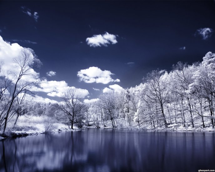 Beautiful winter landscape - cold lake and white trees