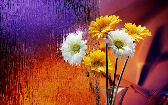 Flowers under the water - beautiful HD wallpaper
