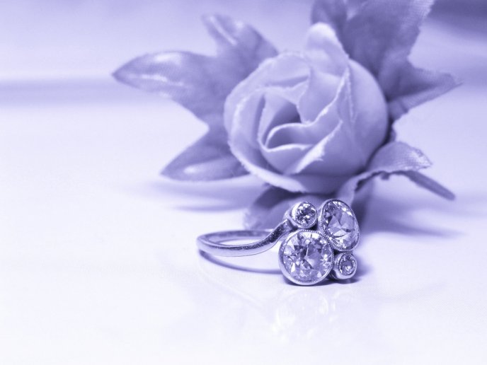 White and grey photo - wedding ring and a rose