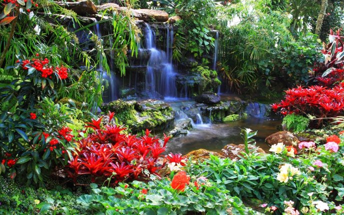 Beautiful red flowers near the waterfall