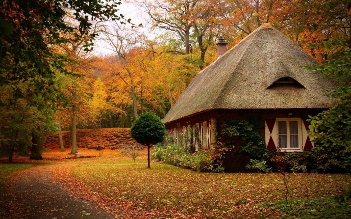 Old house in the middle of the nature - beautiful Autumn