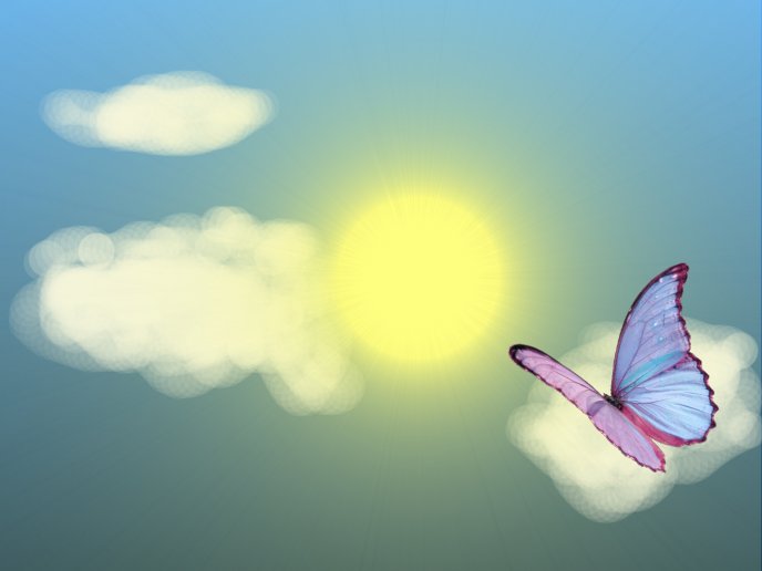 Colored butterfly on a cloud- summer hot day