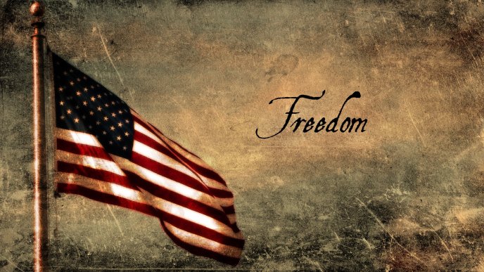 Freedom and USA flag - wonderful HD wallpaper