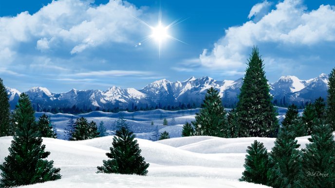 Wonderful winter landscape - HD nature wallpaper