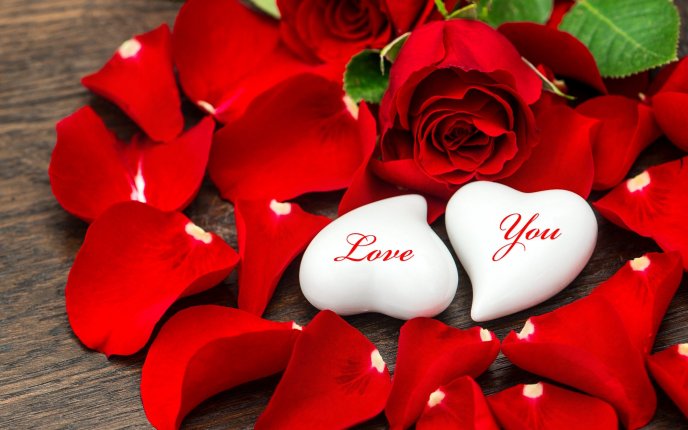Love therapy with red petals of roses - Happy Valentines Day