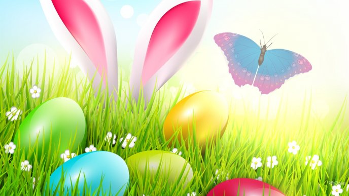 Colorful Easter eggs in the grass - Happy Spring Holiday