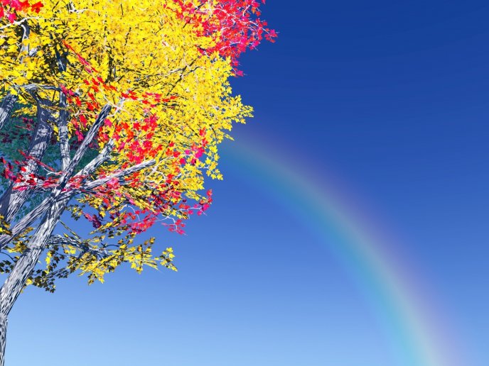 Rainbow on the blue sky near a colorful tree - Beautiful day