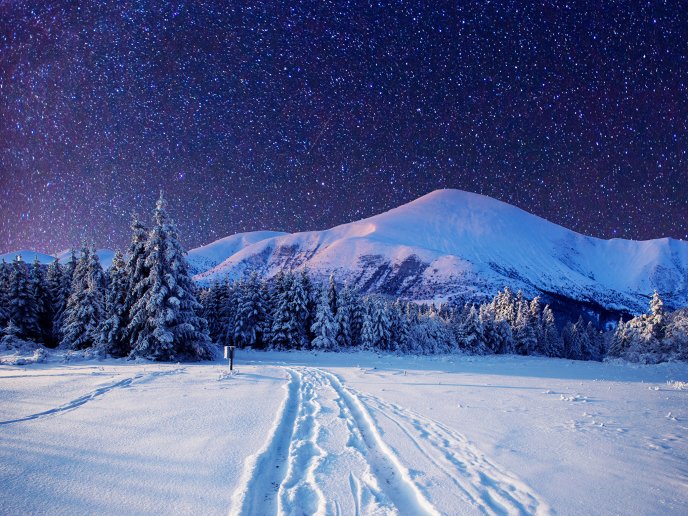 Cold winter night-Sky full with stars - Wonderful landscape