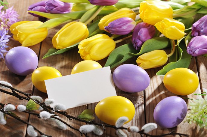 Beautiful Spring Tulip flowers and colored Easter eggs