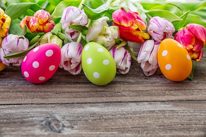 White dots on colored Easter eggs - Happy Spring Holiday