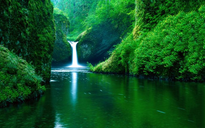 Wonderful waterfall in the middle of the forest green nature