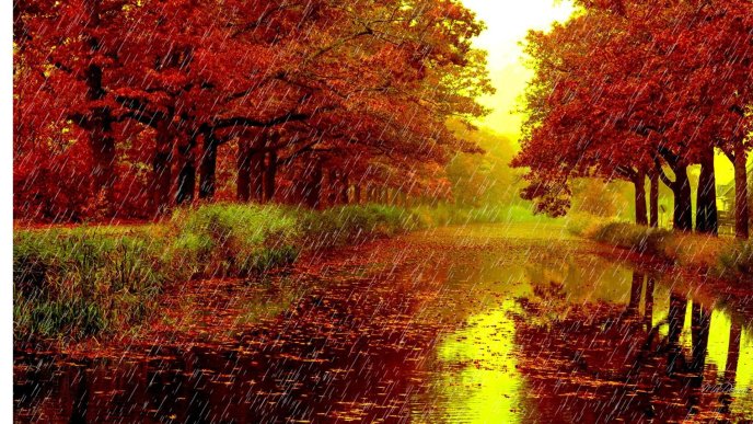 Rainy day in the Autumn season - HD wallpaper