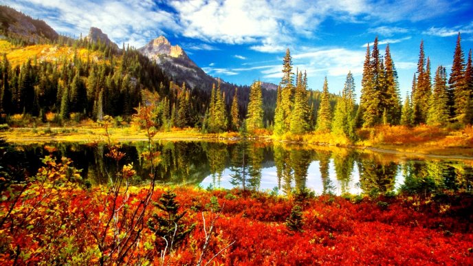 Sunny autumn day - wonderful nature wallpaper