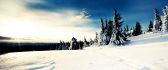 Wonderful winter landscape - white snow and blue sky