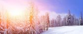 Hot winter sun - beautiful white season