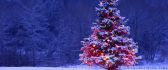 Christmas tree full with lights and snow - HD wallpaper