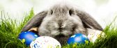 Funny grey rabbit and colorful easter eggs - Happy Holiday