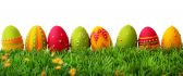 Beautiful colorful Easter eggs in the grass - Happy Holiday