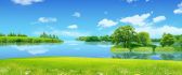 Nature landscape green grass and blue water