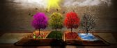 Beautiful four seasons time - HD wallpaper