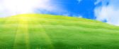 Green grass on a beautiful field - Sunshine HD wallpaper