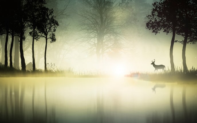 A deer in the mist