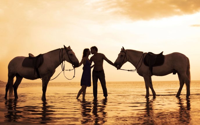 Romantic horses - lovers on the beach at sunset