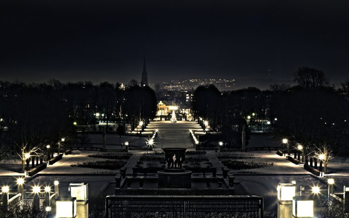 Top view of a park at night HD wallpaper