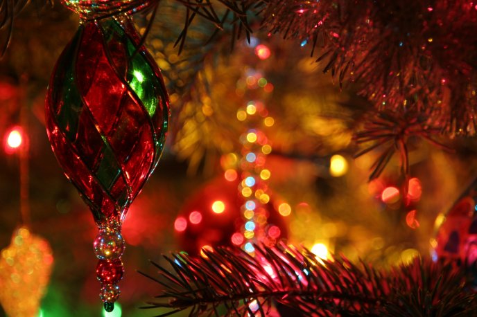 Red and green glass ornament hanging in Christmas tree
