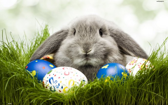 Big gray rabbit defends Easter eggs - HD wallpaper