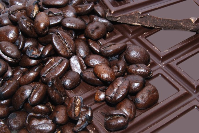 Coffee beans and pieces of chocolate