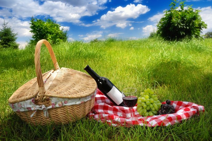 Relaxing time - picnic and a wonderful landscape