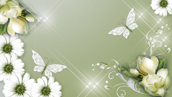 Flowers and butterflies - beautiful spring background