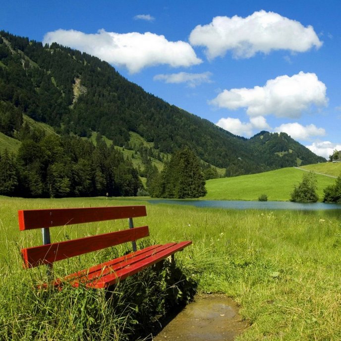 Red bench on a green field - nature HD wallpaper