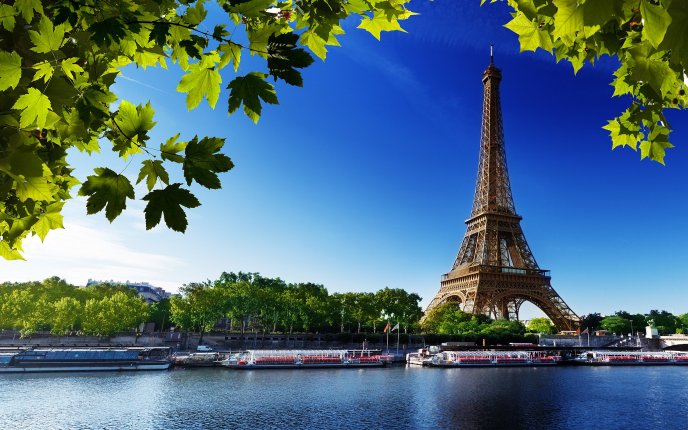 Summer holiday in Paris - Eiffel Tower