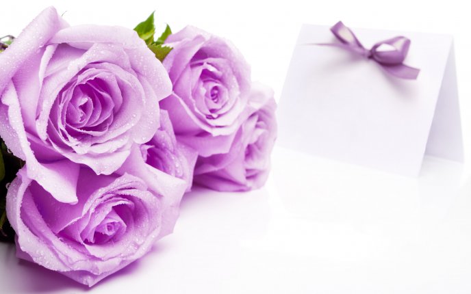 Pink roses - flowers and invitation for marriage