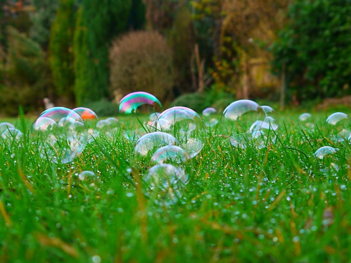 Lots of soap bubbles in the green grass