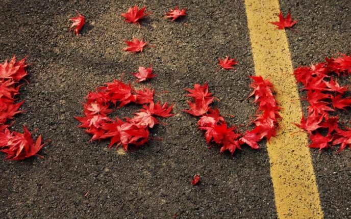Love message on the road - red autumn leaves