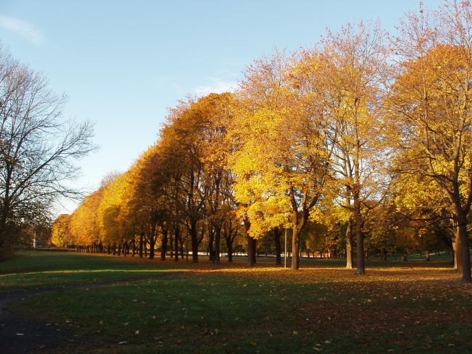 Autumn sunny day is a park in Oslo - HD wallpaper