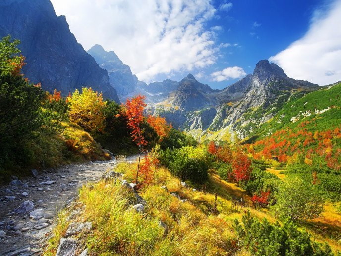 Beautiful mountain river -HD nature landscape