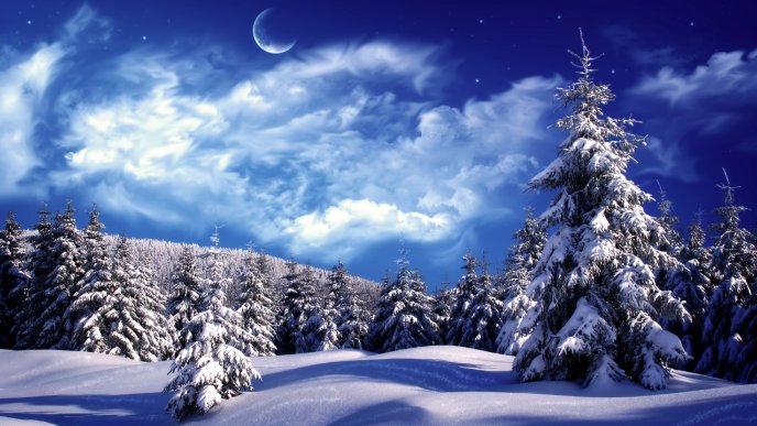 Cold winter night - fantastic blue sky