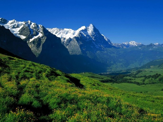 Wonderful nature landscape - beautiful mountain preview