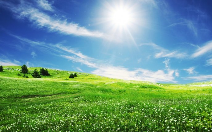 The smile of sun over the beautiful nature - HD wallpaper